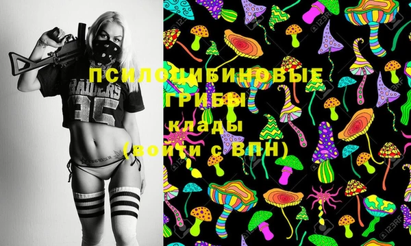 дурь Кинешма