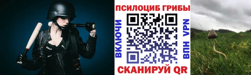 Псилоцибиновые грибы мухоморы  Купить закладки  Родники 